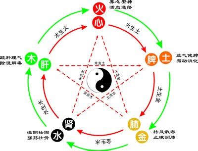 潔五行|洁字的五行属什么